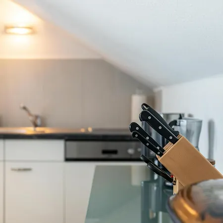 Haus Alexander Meersburg