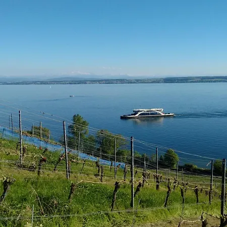 Apartment Haus Alexander *