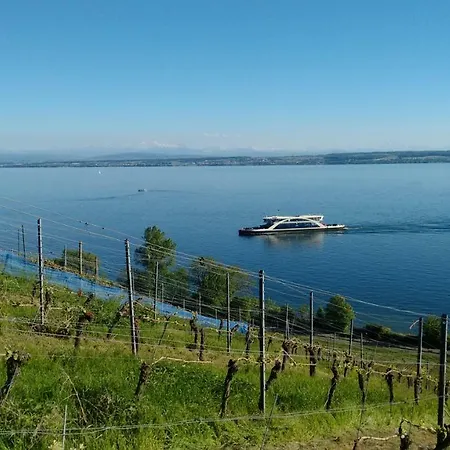 Apartment Haus Alexander Meersburg